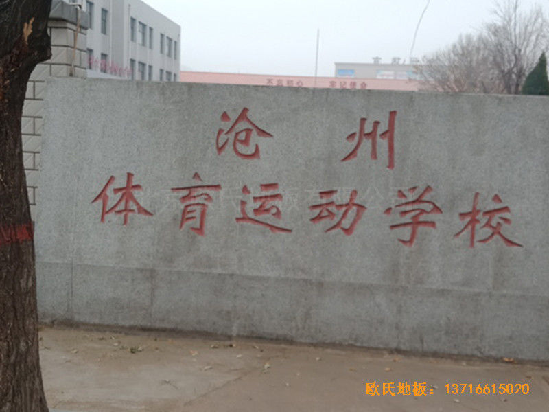 河北滄州體育學(xué)?；@球館體育地板施工案例0